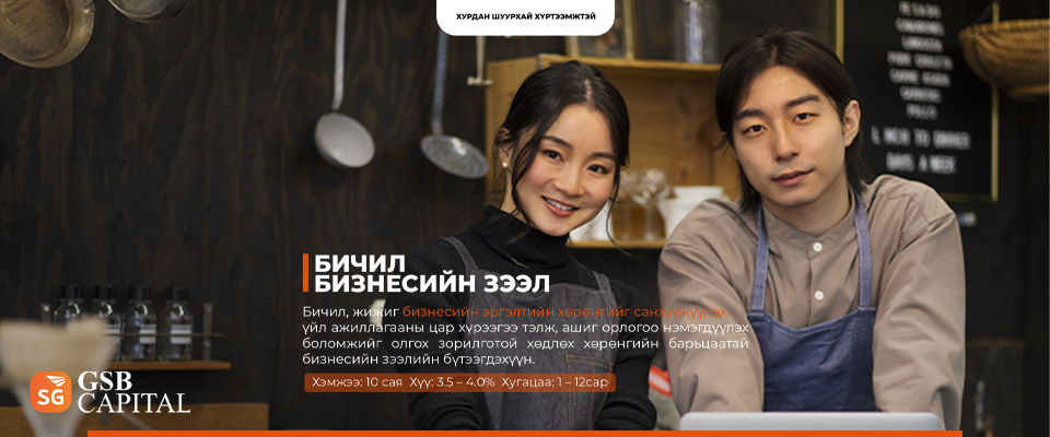 Бичил бизнесийн зээл